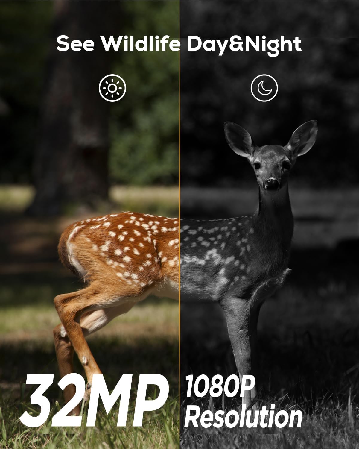 Cocobear Trail Cam 32MP 1080P Night Vision, 0.2s Trigger, IP66 Waterproof for Hunting & Wildlife Monitoring
