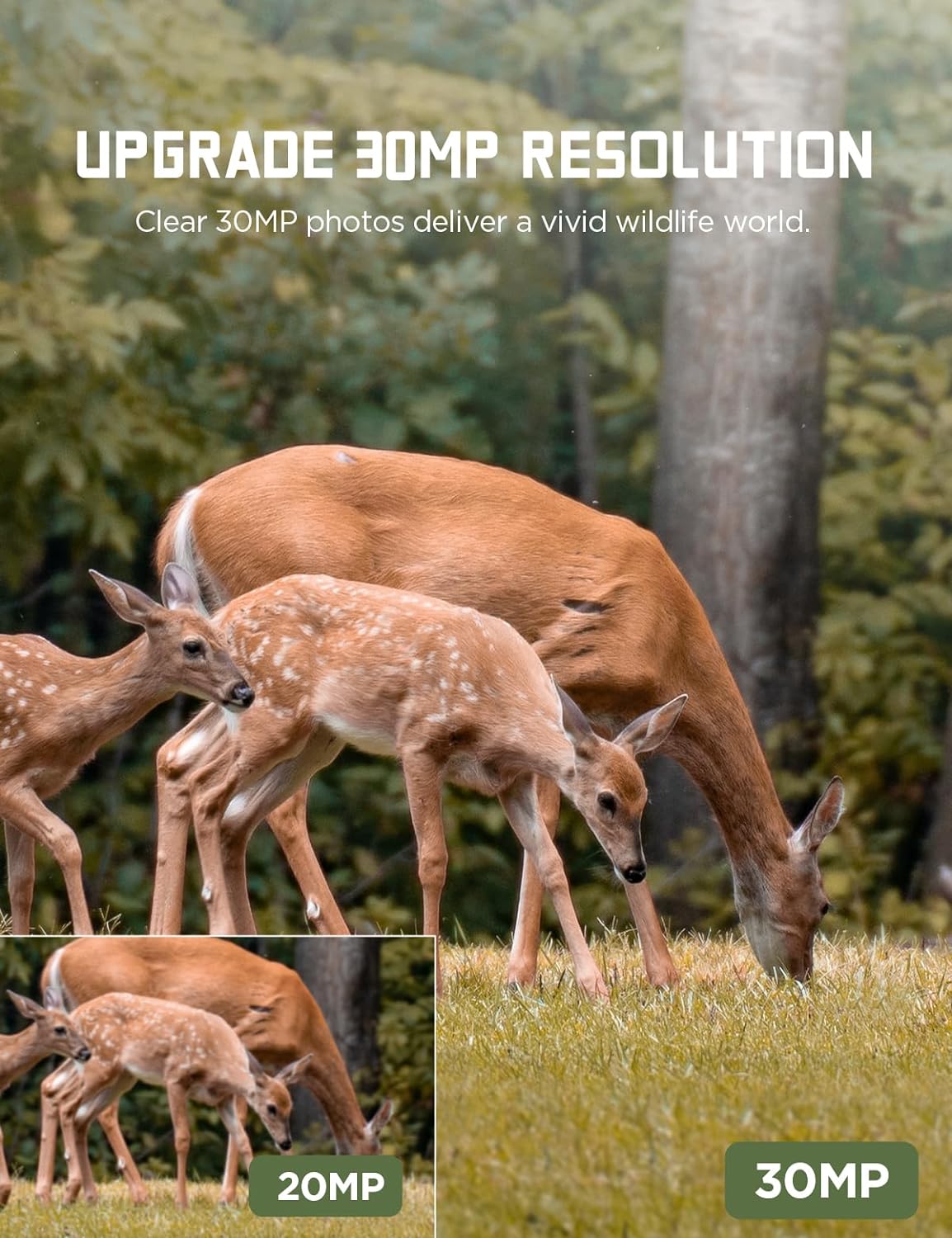 20MP 1080P Trail Camera with Professional IP66 Waterproof Design for Wildlife Watching with Low Glow IR LEDs Hunting Cam
